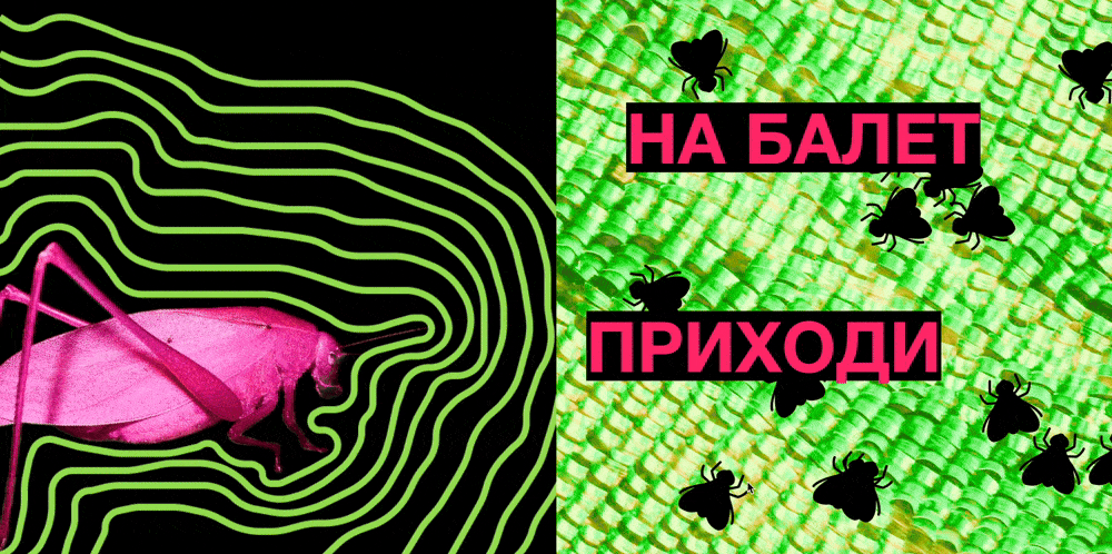 web poster gif 1