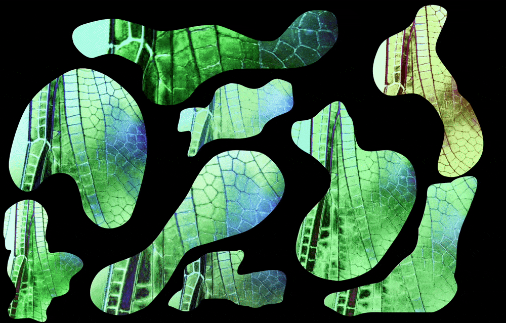 web poster gif 2
