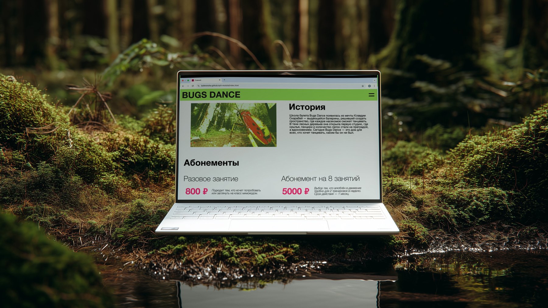 website screen 2