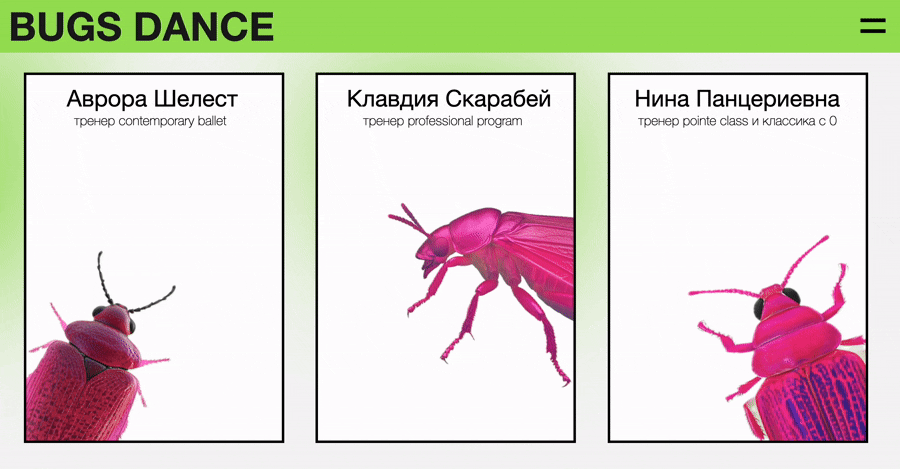 website screen 9
